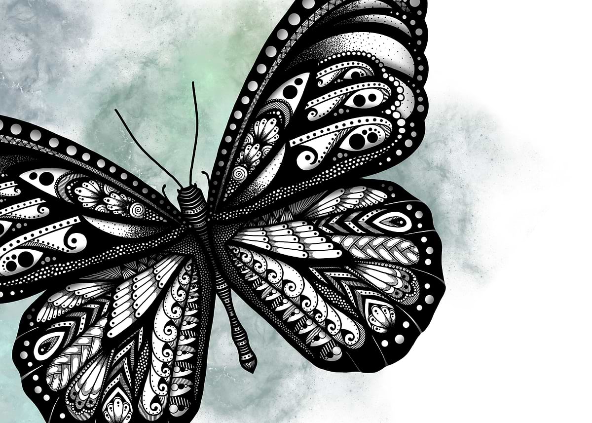 Zentangle Butterfly' Poster, picture, metal print, paint by
