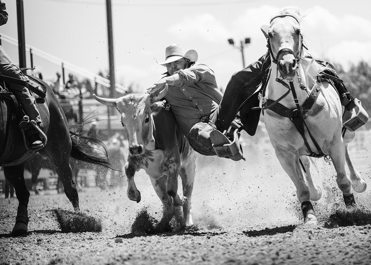'Rodeo Action' Poster, picture, metal print, paint by Stephen ...