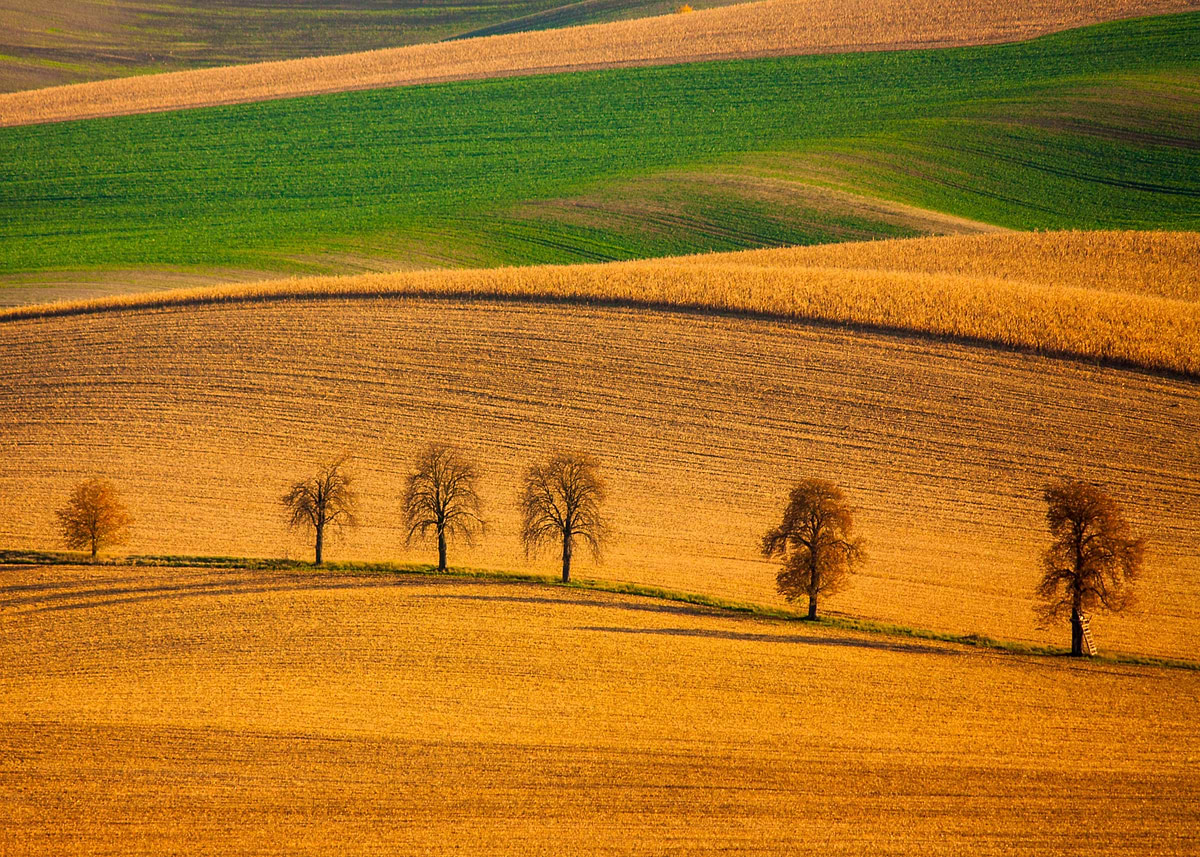 'Abstract rural landscape' Poster, picture, metal print, paint by ...