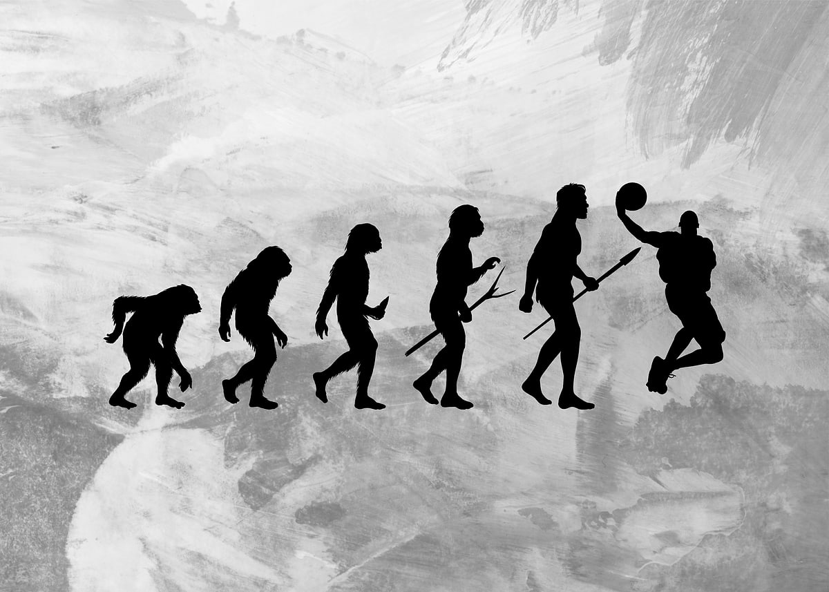 'evolution of basketball' Poster, picture, metal print, paint by ...
