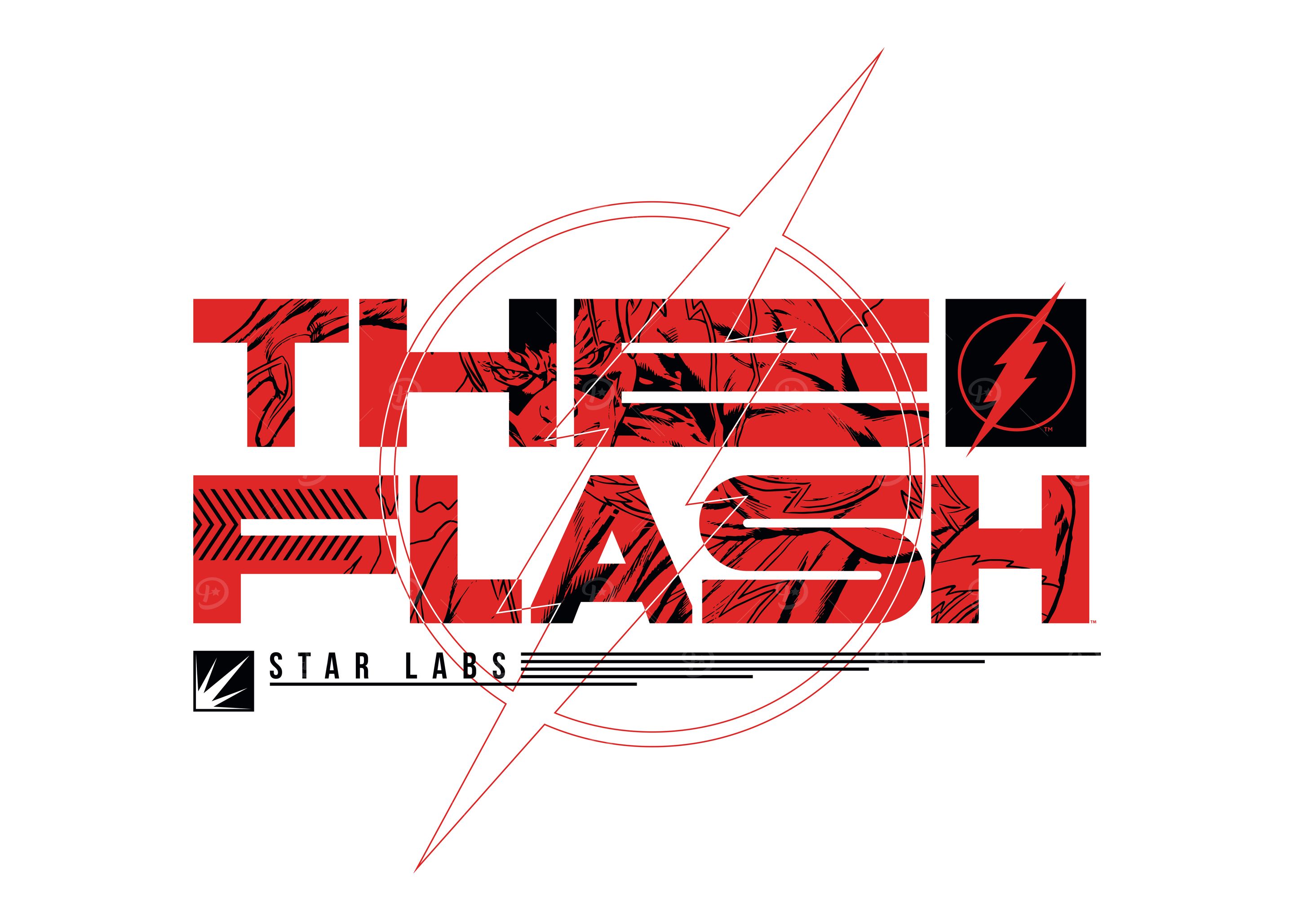 The Flash Title Color Code 'The Flash Typo' Poster, picture, metal print, paint by DC Comics ...