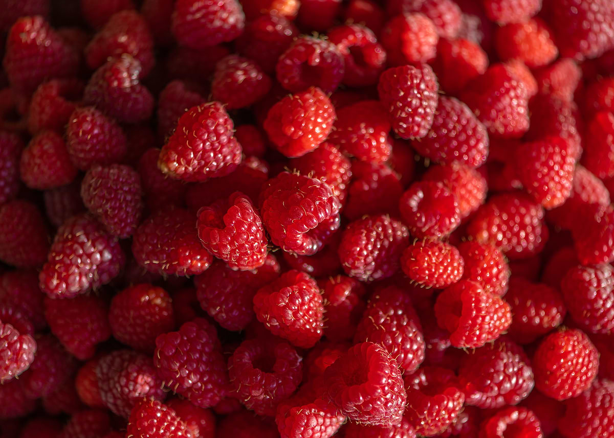 Purple Raspberry Poster 'Red raspberries full frame' Poster, picture, metal print, paint by ...