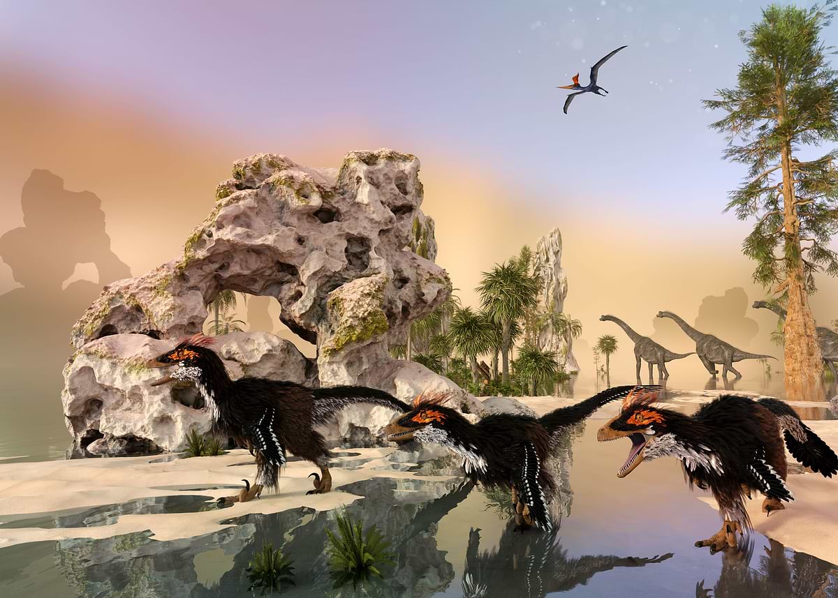 Find The Raptors 'Raptors looking for prey' Poster, picture, metal print, paint by Gigi ...