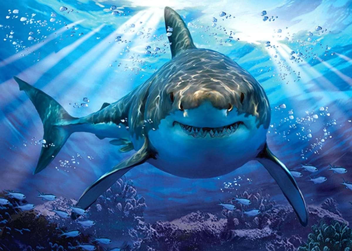 Great White Shark' Poster, picture, metal print, paint by Wijaki