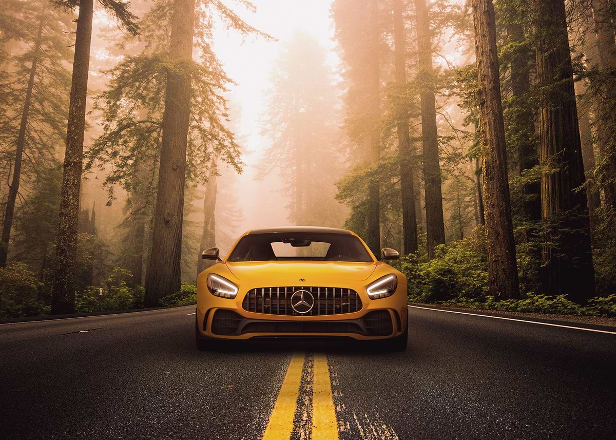 Amg Tree 'Yellow Mercedes AMG trees' Poster, picture, metal print, paint by ...
