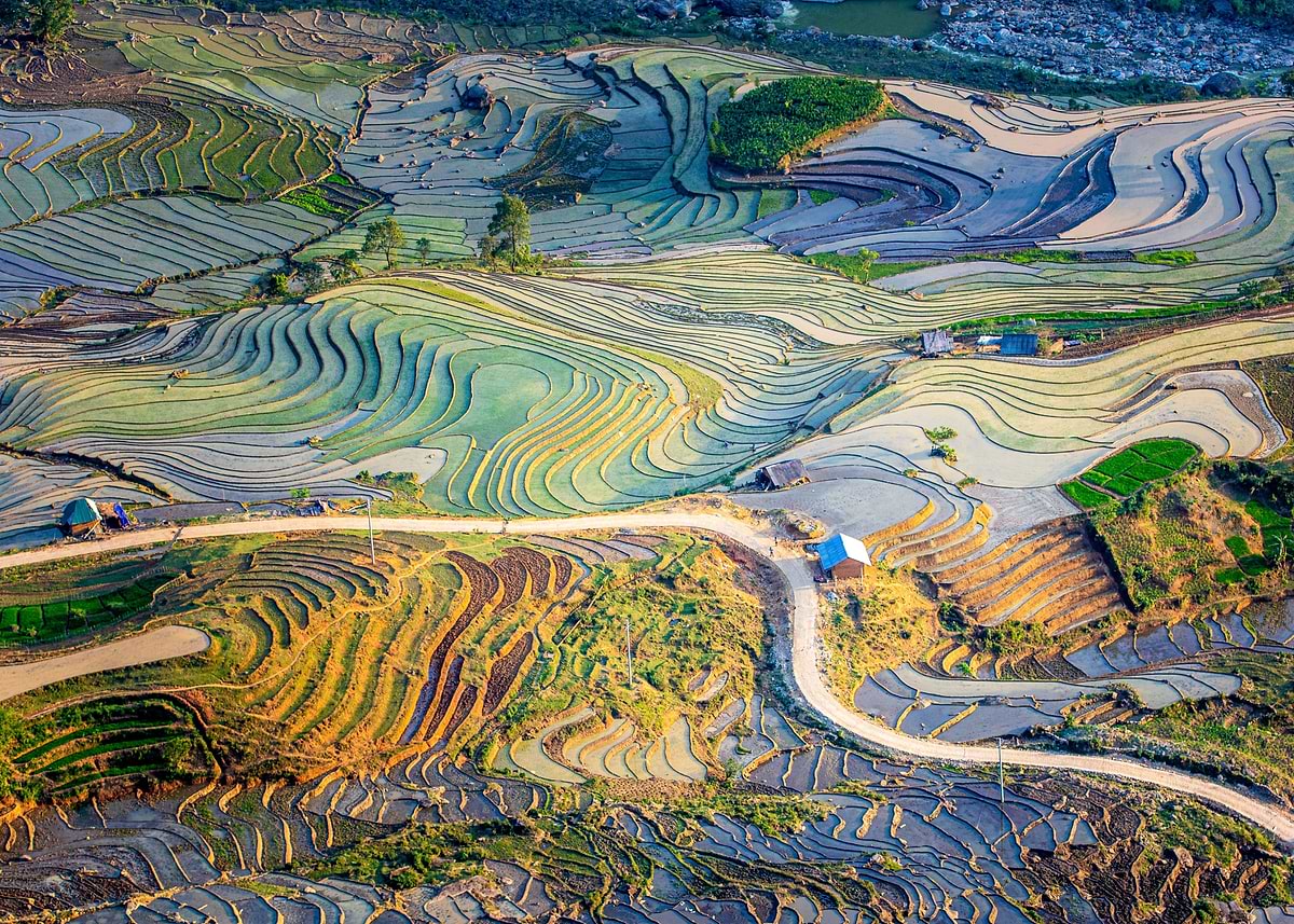 Two Color Rice Terraces 'Colorful rice terraces' Poster, picture, metal print, paint by Thanh ...