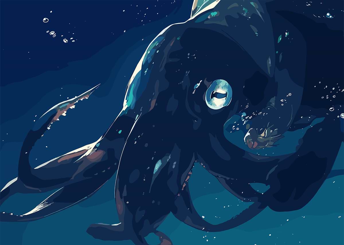 Fanth 'Giant Octopus' Poster, picture, metal print, paint by Fanth | Displate