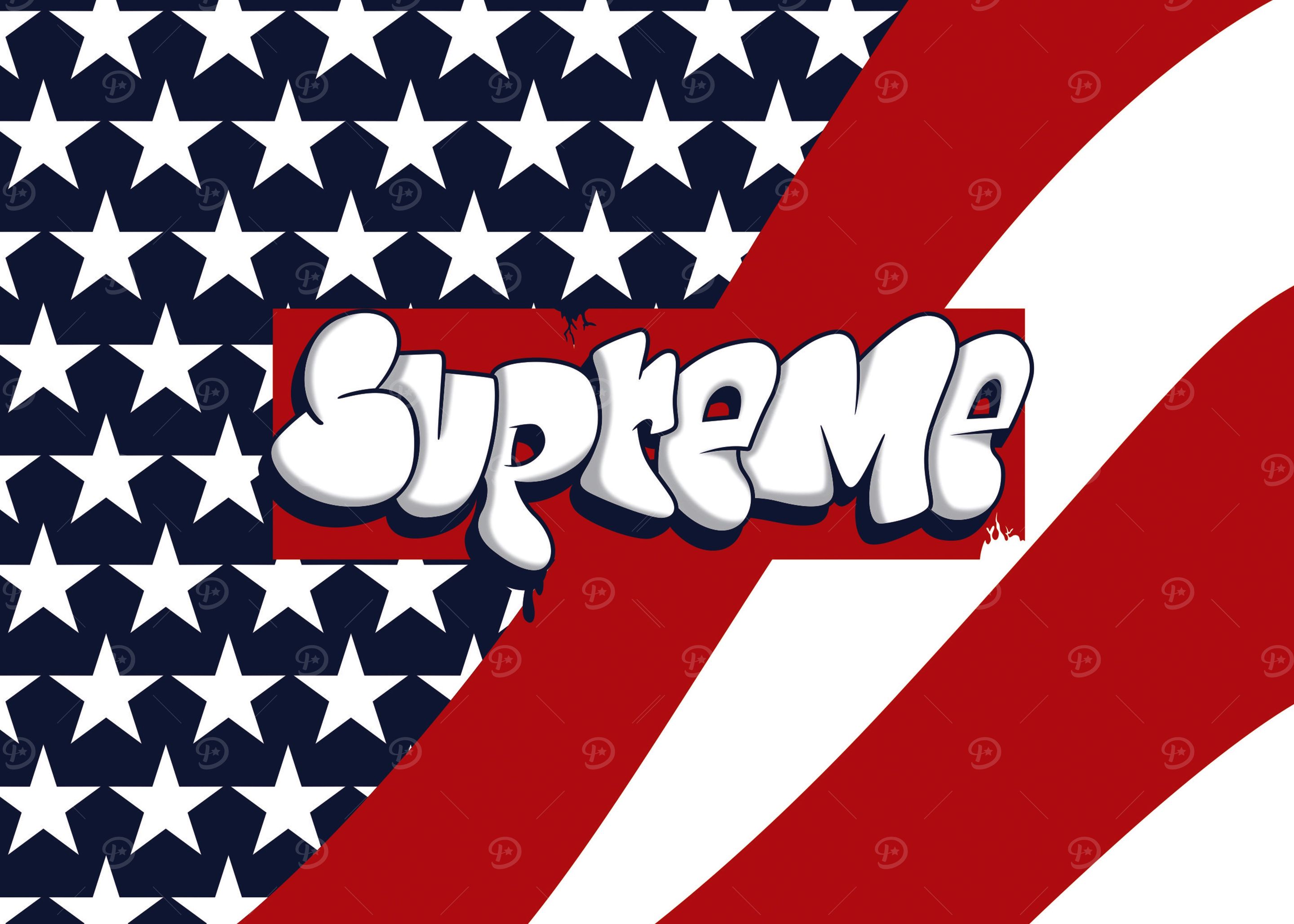 supreme ポスター Supreme x Phaidon Sticker Door Friends & Family Poster - US