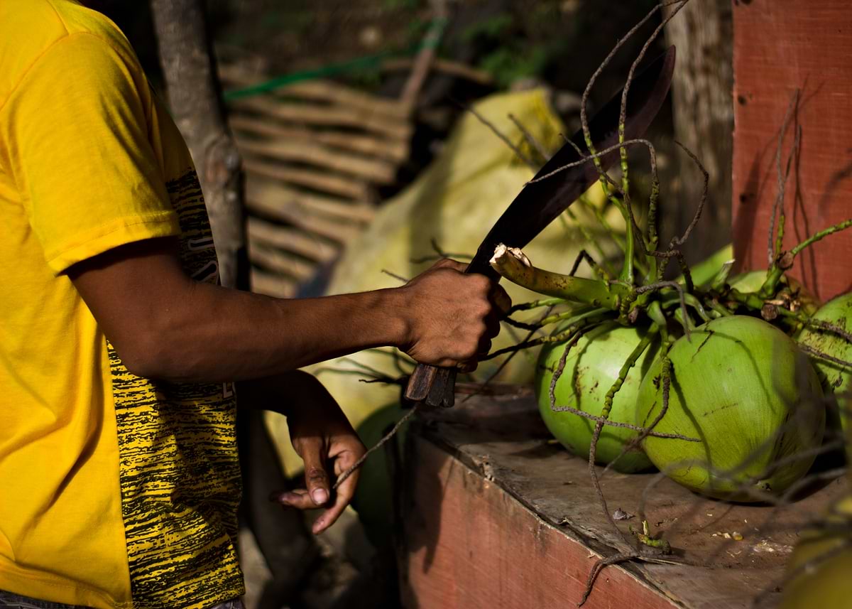 'Cutting Coconuts in Philippines' Poster, picture, metal print, paint ...