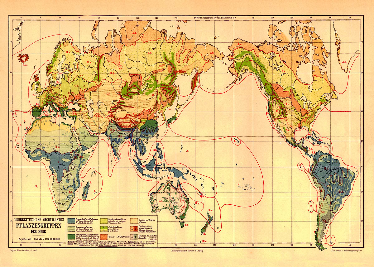 'Poster Map Plant Groups of the Earth | Vintage Botany German' Poster ...