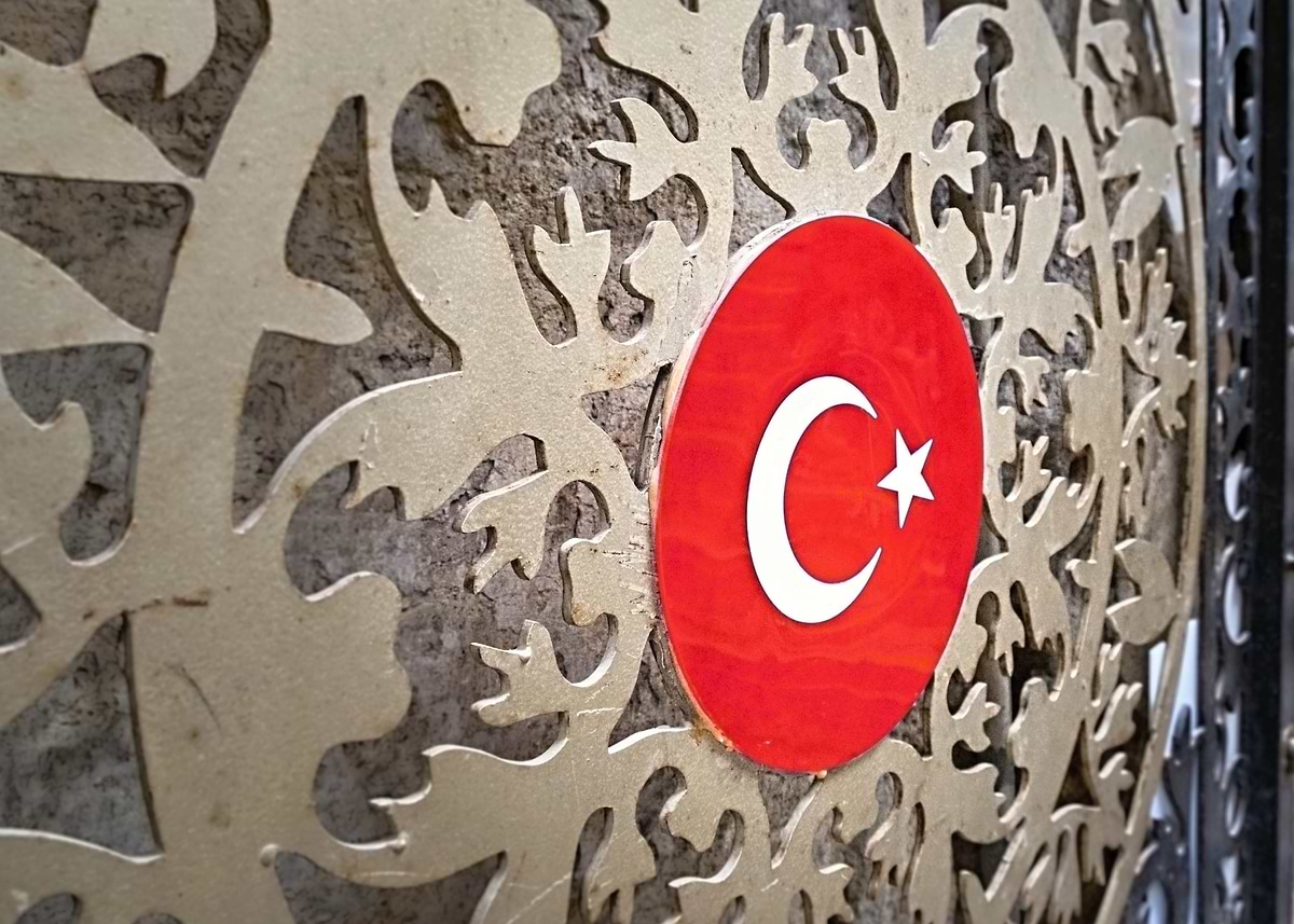 'Turkish Flag on Ornate Gate' Poster, picture, metal print, paint by ...