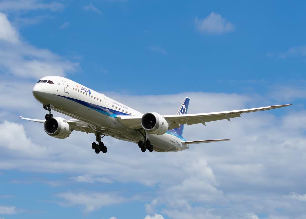 【日本製】 ANA Boeing print metal picture, Poster, Dreamliner' 787 航空機・ヘリコプター