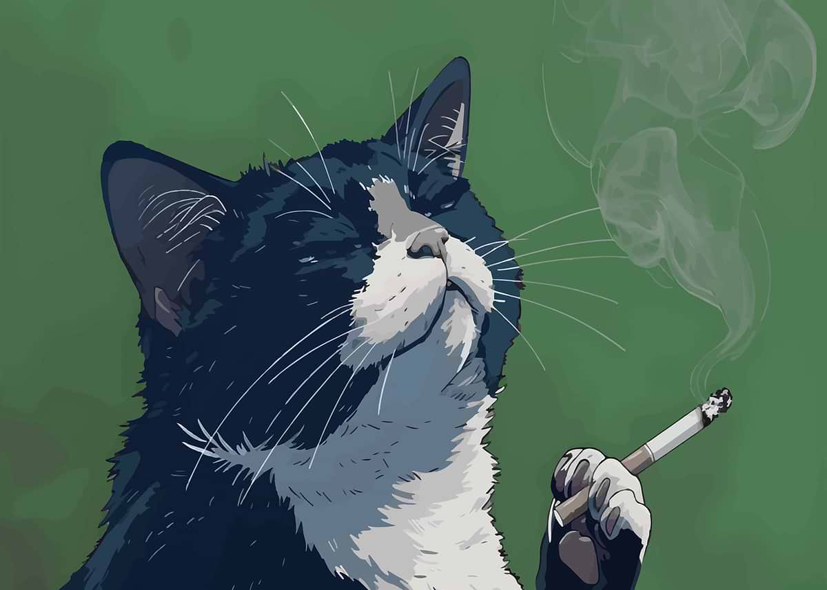 Smoking Cat Art