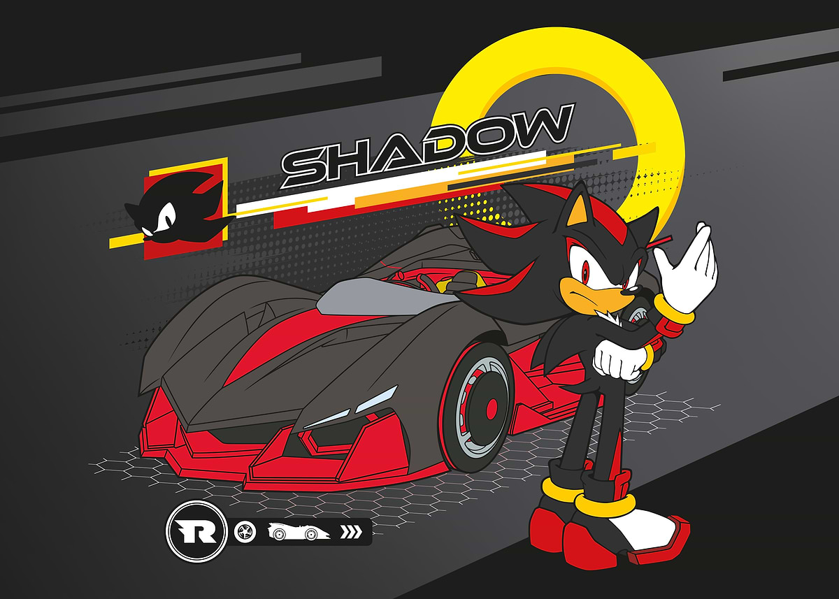 Shadow the Hedgehog: Race Ready' Poster, picture, metal print