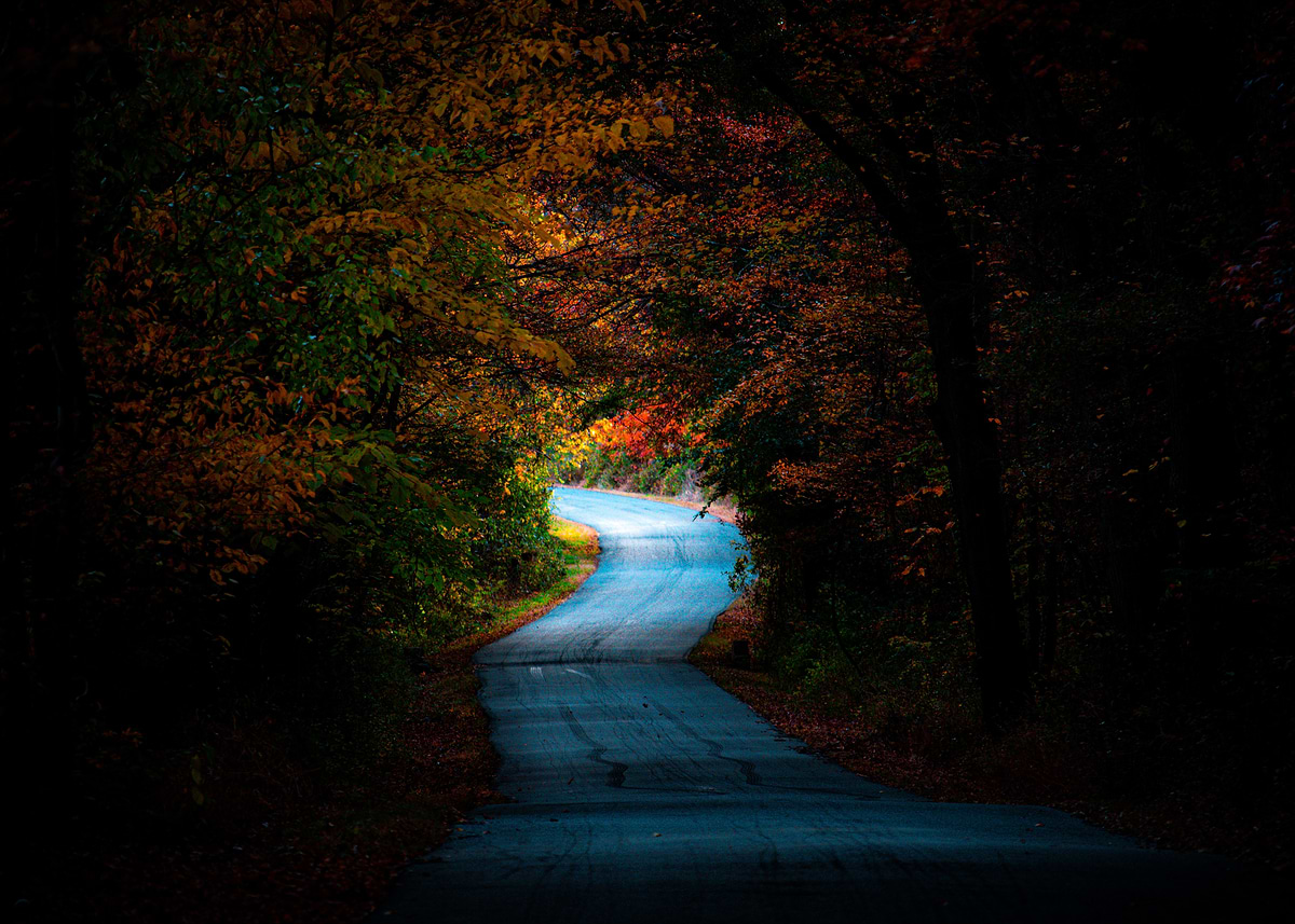 'Autumn road less traveled' Poster, picture, metal print, paint by ...