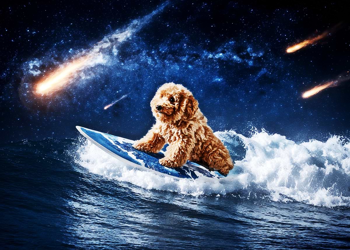 Fanth 'Dog Surfing Through Space' Poster, picture, metal print, paint by ...