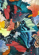 2013-04-24/4c56179b72f430a8005783a970a64189