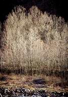 2013-07-11/c3f370c3c2b1e88c49f37b6b083fb295