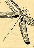 2013-08-05/7350edc005324ffd211c41a0a3901a27