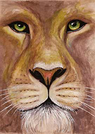 2013-11-05/3b3edb27bb7558b8514d897d4243713c