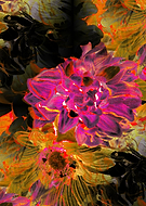 2013-11-20/3b03b32d971ac8489a8a0e5172b123c3