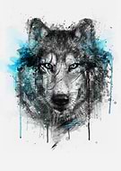 2013-12-31/16472a9e3f48d306dcbe606dcaa75502