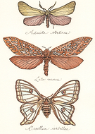 2014-03-04/6261761bc79c7b0bd3e178ad772ca118