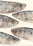 2014-03-04/a1868bfdd5d8bab062f098ca55521abd