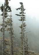 2014-03-09/8f3c826a0dadb46def6d917768660c7b