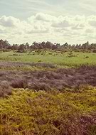 2014-03-20/b342cbf9eddea5c689fb6a904e16a9db