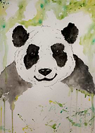 2014-04-08/498555a096b5a98186fc50cb32983f57