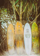 2014-04-18/73f0a423bcce6e26cdd2c3f09f65c88a