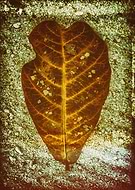 2014-04-18/b17337cc1b912a03e44e7db9155f2a96