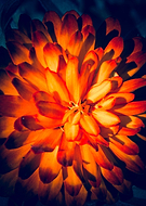 2014-04-22/c8fae75ba51547d3895181b6e244f487