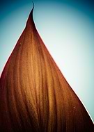 2014-04-22/e028bc0e4681a7ccca2c2cb3099cc848