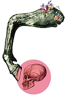 2014-05-02/604f8752781a63ec3b6f31cffbb20bc8