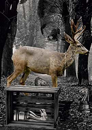 2014-05-02/cd484c2e8d60ee9deff4afcb651512db