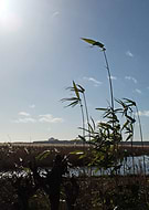 2014-05-21/cae33a9194571e2ac23c1eef22bd2977