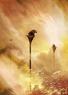 2014-05-28/9f6aba9abd97116b084479cdf4c88cbe