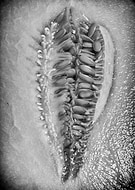 2014-06-12/81e2e90215997dcc38656cf78c05de34