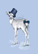 2014-07-09/557bbfeef1799ddba14b592942496f9a