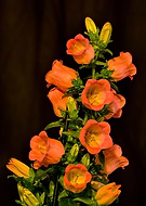 2014-07-31/f4292af268fc2cdf9a55a4be49967215