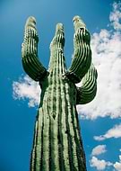 2014-08-12/3fb1485d465ac2a7ed2305ce5e4bf344