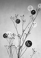 2014-09-12/4b11b710140e56557fd457d6cd602b6f