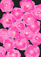 2014-09-13/79bd611634d6aceb6c5f310582905686