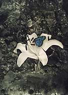 2014-09-18/33a92192a7e3f1569a3ef6c100186084