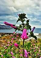 2014-09-30/d8a4a8e6801fe4feb83ffaa5502729ae