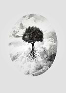 2014-11-04/aead4f336c8dc03a043b9ac1ae4ae863