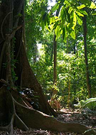 2014-11-10/1881c8fe61eed3b3f1f15279e097ccdb