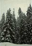 2014-11-10/e40f4dd12988db47a626566bc404d370